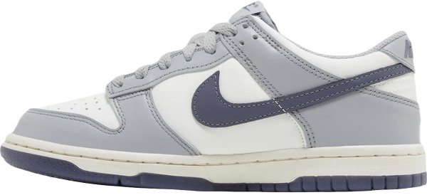 Dunk Low GS 'Platinum Tint Light Carbon'